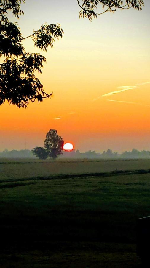 Het Kraaienbosch Bed & Breakfast Zegveld Luaran gambar