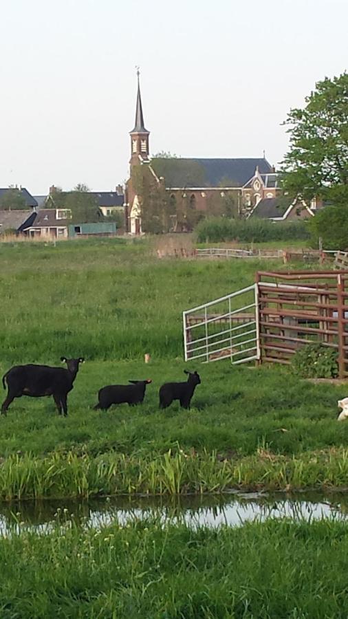 Het Kraaienbosch Bed & Breakfast Zegveld Luaran gambar